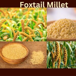 Unpolished Foxtail Millet (Navane) 500 Gms