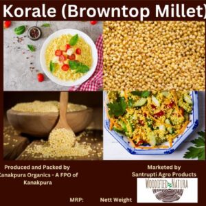 Umpolished Browntop Millet (Korale) 500 Gms