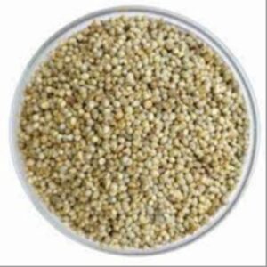 Pearl Millet (Bajra) Whole Grains 500 Gms